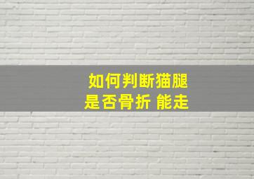 如何判断猫腿是否骨折 能走